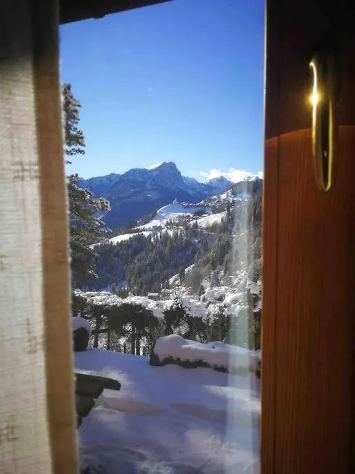 La Voce Del Bosco Selva Di Cadore