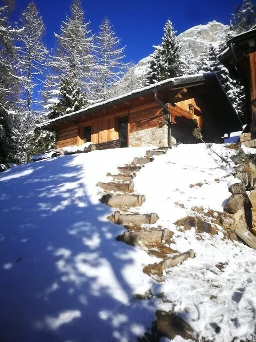 La Voce Del Bosco Selva Di Cadore