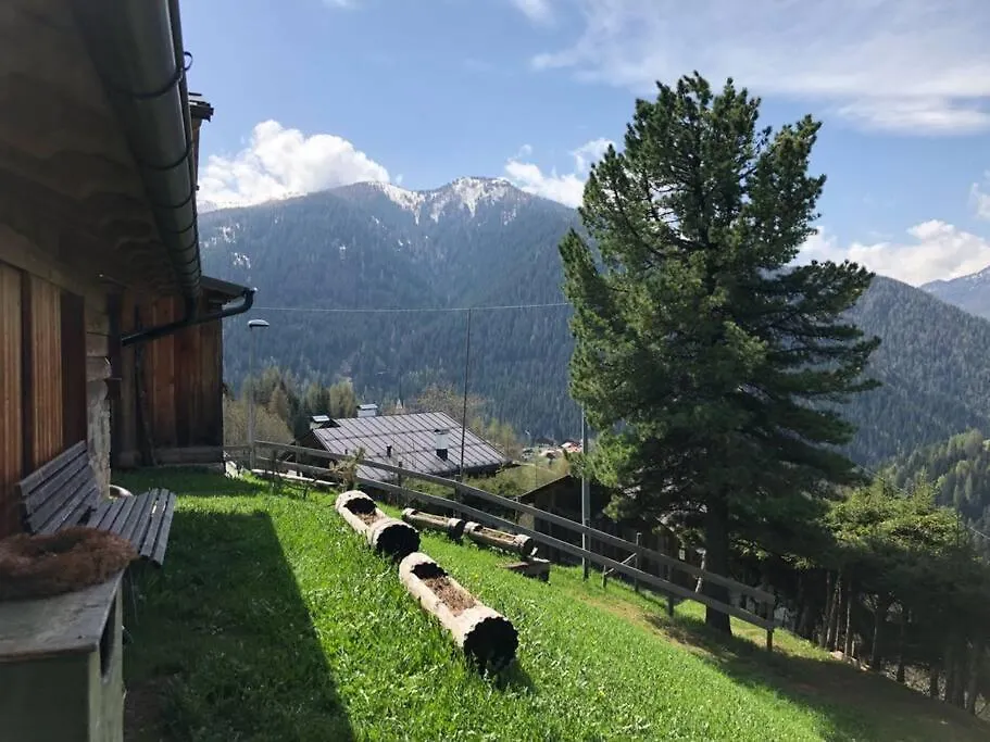Chalet La Voce Del Bosco Selva Di Cadore